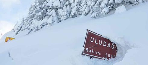 Uludağ Birlik Taksi