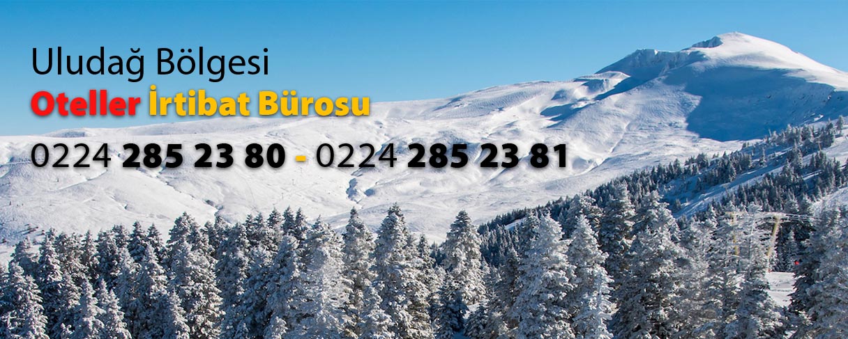 Uludağ Birlik Taksi